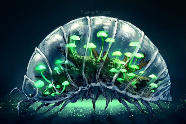 Illustrations worth sharing